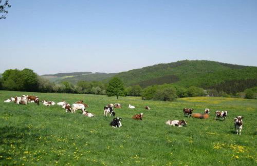 Holiday Apartment Anita Wald - Foto 45