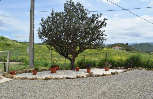 Mount Tatum - Foto 30