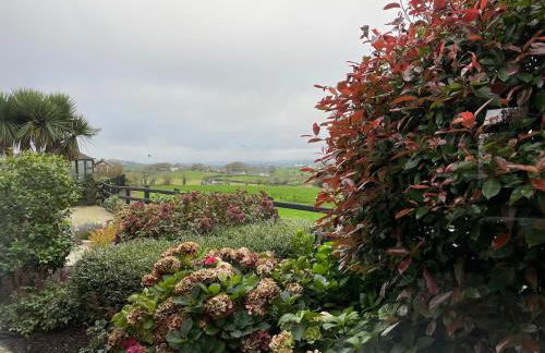 Cosy Countryside Apartment near Belfast - Foto 7