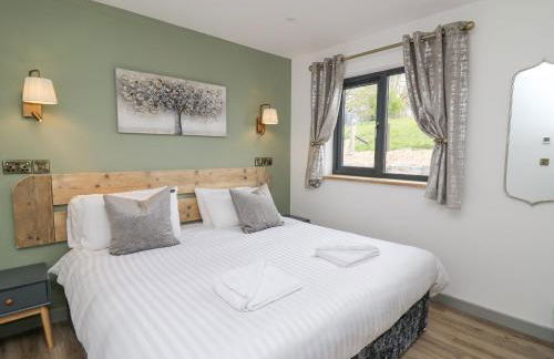 Barcud Coch - Red Kite - Photo 24