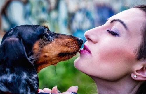 Ferienhaus Storchenblick - Foto 29