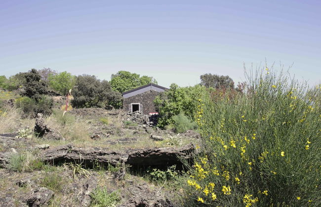 Etnella enoagriturismo Notti Stellate - Foto 28