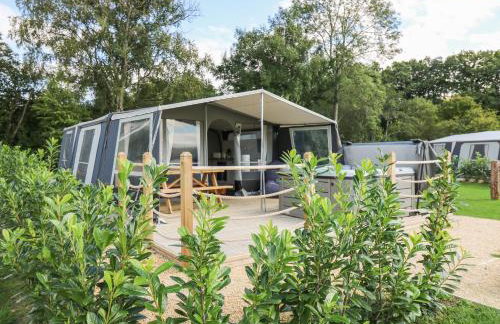 The Kingfisher - Foto 1