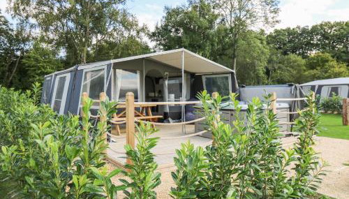 The Kingfisher - Foto 1