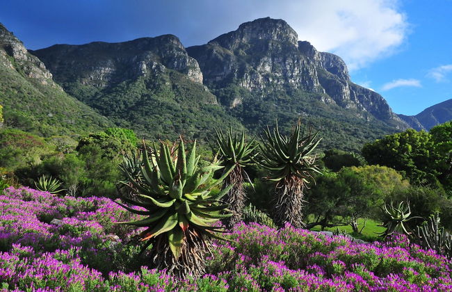 Bradclin @ Mutual - Foto 37