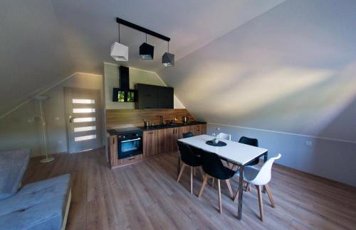 Apartamenty Buczyna w Sierakowie - Foto 56