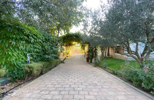 Stone Holiday Homes Stankovci with pool and Mediterranean gardens - Foto 43