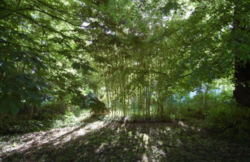 Gite du chateau - Foto 23