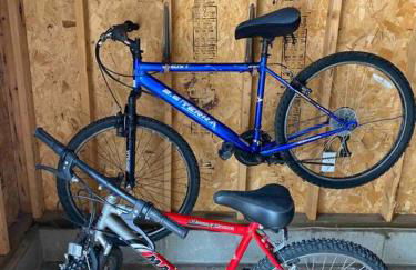 Enchanting and comfy urban cottage with renovated rustic den by Como Park & MN State Fair - Foto 19