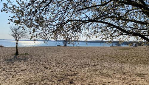 SeeZauber- gemütliche Ferienwohnung, Privatparkplatz, Cospudener See - Foto 5