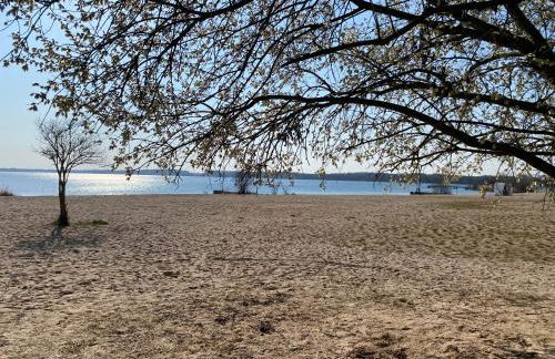 SeeZauber- gemütliche Ferienwohnung, Privatparkplatz, Cospudener See - Foto 10