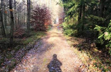 Lawendowa Malanówka - domek nad jeziorem - Foto 18