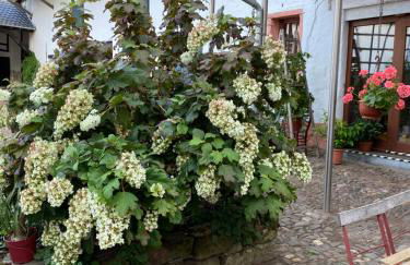 Ferienwohnung Burg Hausen - Foto 53