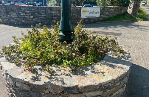 Appartement n 79 Moriani plage - Foto 65