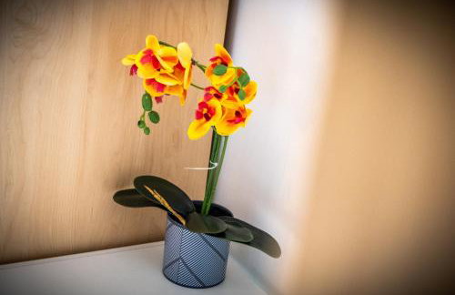 Orient CityView with FreePark and Netflix - Photo 9