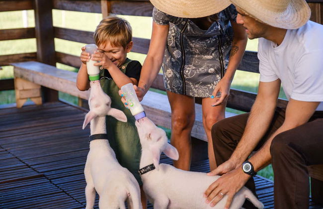 Tour dei Caminhos de Pedra - Foto 10