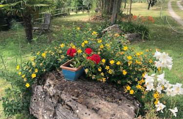 luxury villa in centre of tuscany - Foto 51