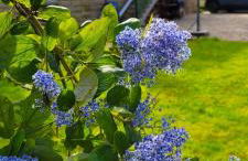 Belle maison de vacances entre Saint-Malo et Mont-Saint-Michel. Le Clos Fleuri - Foto 25