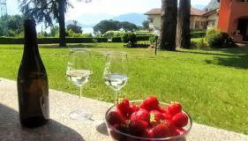 Sarah’s place - Photo 5