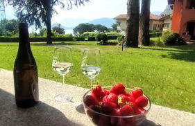 Sarah’s place - Photo 5