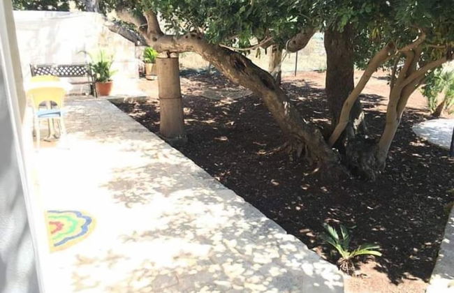 Casale Oasi - Foto 11