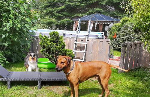 Hillis Ferienwohnung Saarland - Foto 9