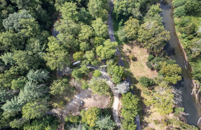Silver Fern in Pisgah Forest - Foto 42