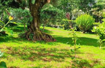 Casa Dos Vales 11 - Foto 41