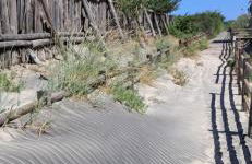 Salento sea mare - Foto 13