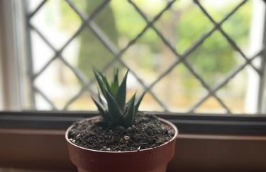 La bomboniera - Foto 14