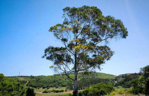 The Windhouse - Photo 38