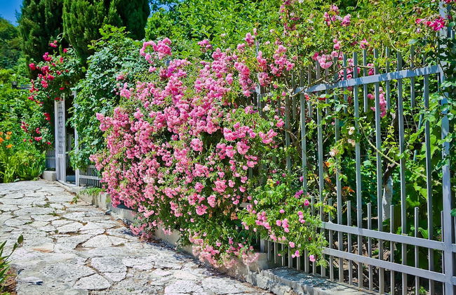 Villa Sequoia - Foto 46