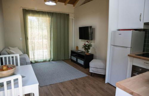 Quinta-lina de serpins - Foto 5