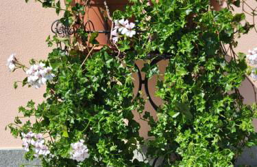 Casa Intignano - Camera con bagno e portico vista lago - Foto 17