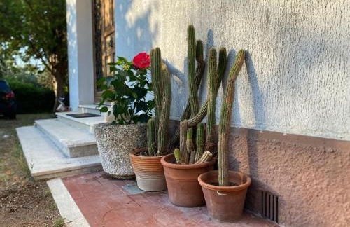 Le Curve di Montegallo, Cozy Family Stay by the Conero - Foto 28