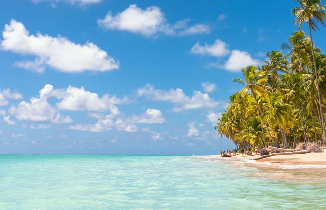 Excursión privada a Maragogi - Foto 1