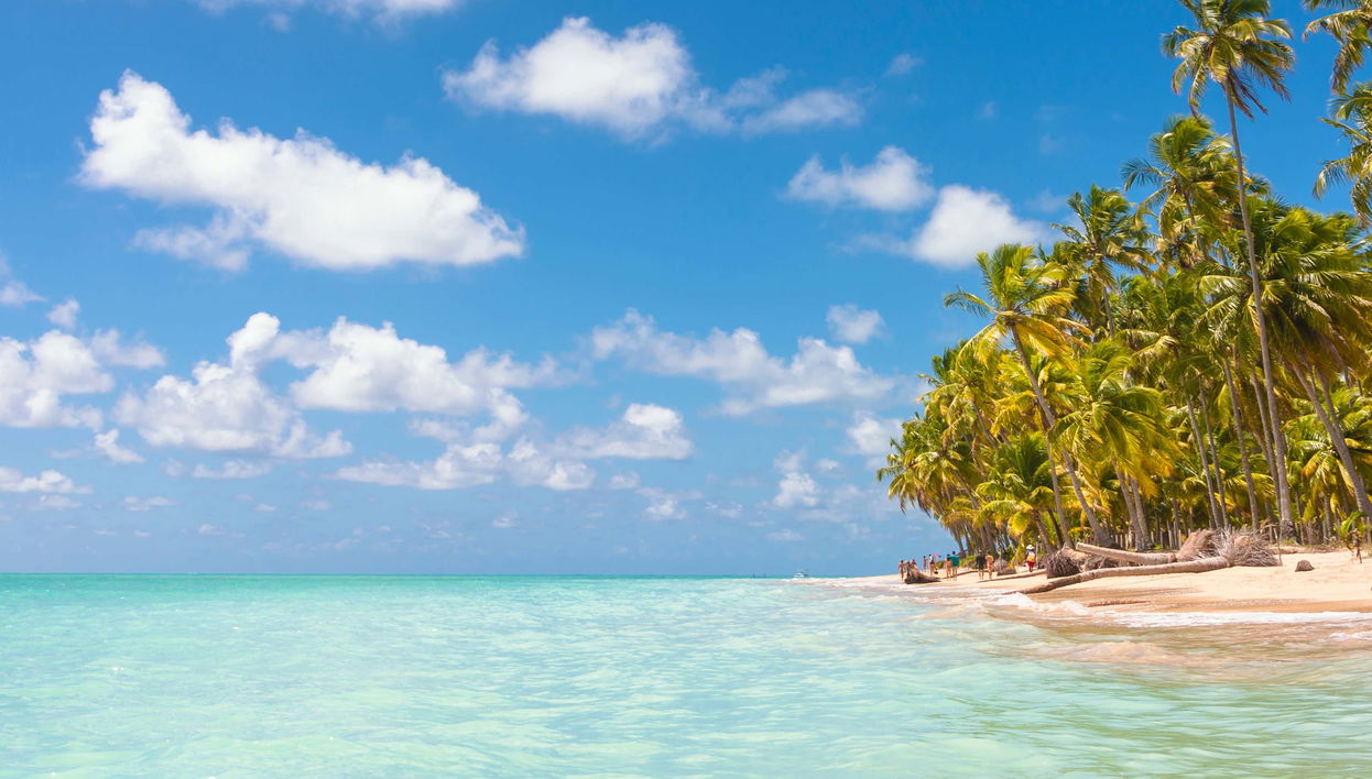 Excursión privada a Maragogi