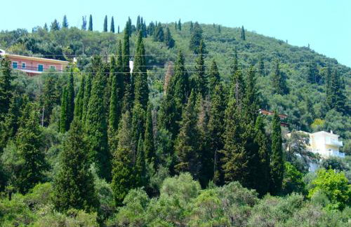 Lena Blue Sea Apartments - Foto 10