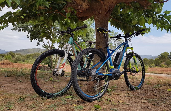 Domaine de la Tuilière - Photo 51