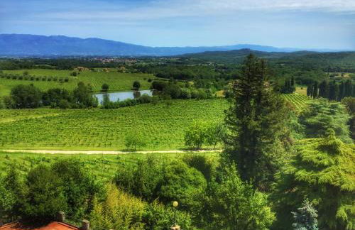 Tenuta Lupinari - Foto 48