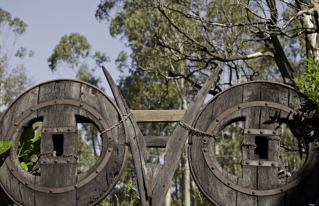 Casa de Turismo Rural Os Petroglifos - Photo 49