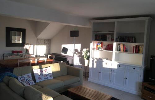 La salamandre - Foto 8