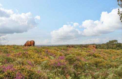 9 Malthouse Court - Foto 27