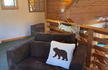 The Moose Lodge at Crystal Mountain - Foto 27