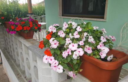 Franco house with pool - Foto 31