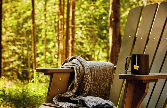 Postcard Cabins Machimoodus, Outdoor Collection by Marriott Bonvoy - Foto 37