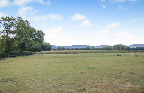 The Paddock - Foto 18