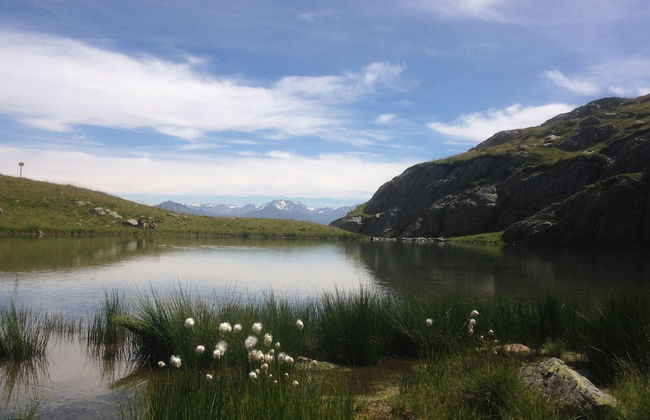 Olydea Saint Colomban - Foto 29