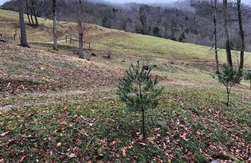 LUXURY!! Hot Tub, Pool Table, River & Petting zoo? - Foto 48