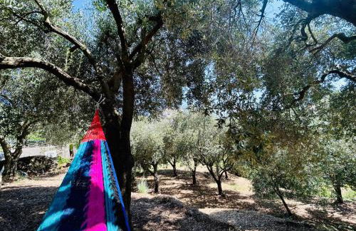 Amalfi Lodge - Foto 36